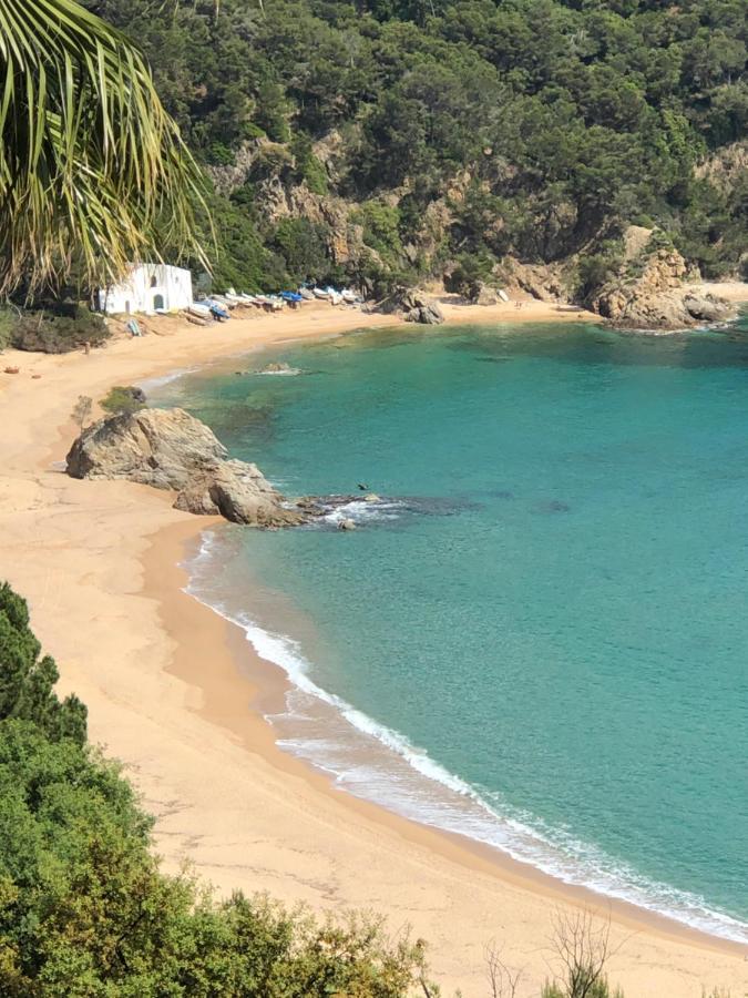 Cala Canyelles Holidays Apartments Льорет-де-Мар Экстерьер фото